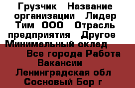 Грузчик › Название организации ­ Лидер Тим, ООО › Отрасль предприятия ­ Другое › Минимальный оклад ­ 16 000 - Все города Работа » Вакансии   . Ленинградская обл.,Сосновый Бор г.